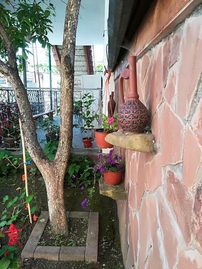 Runo Guest House Gagra Exteriér fotografie