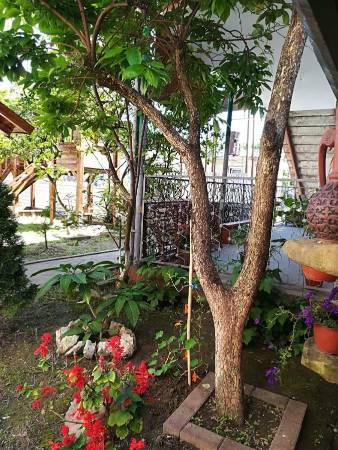 Runo Guest House Gagra Exteriér fotografie